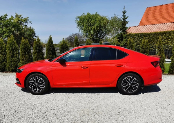 Skoda Octavia cena 89990 przebieg: 61200, rok produkcji 2021 z Grodzisk Mazowiecki małe 379